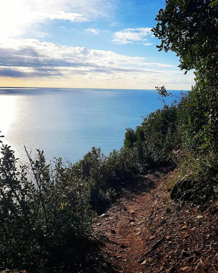 Salvia E Rosmarino - Affittacamere In Liguria فيلانويفا دي ألبينجا المظهر الخارجي الصورة