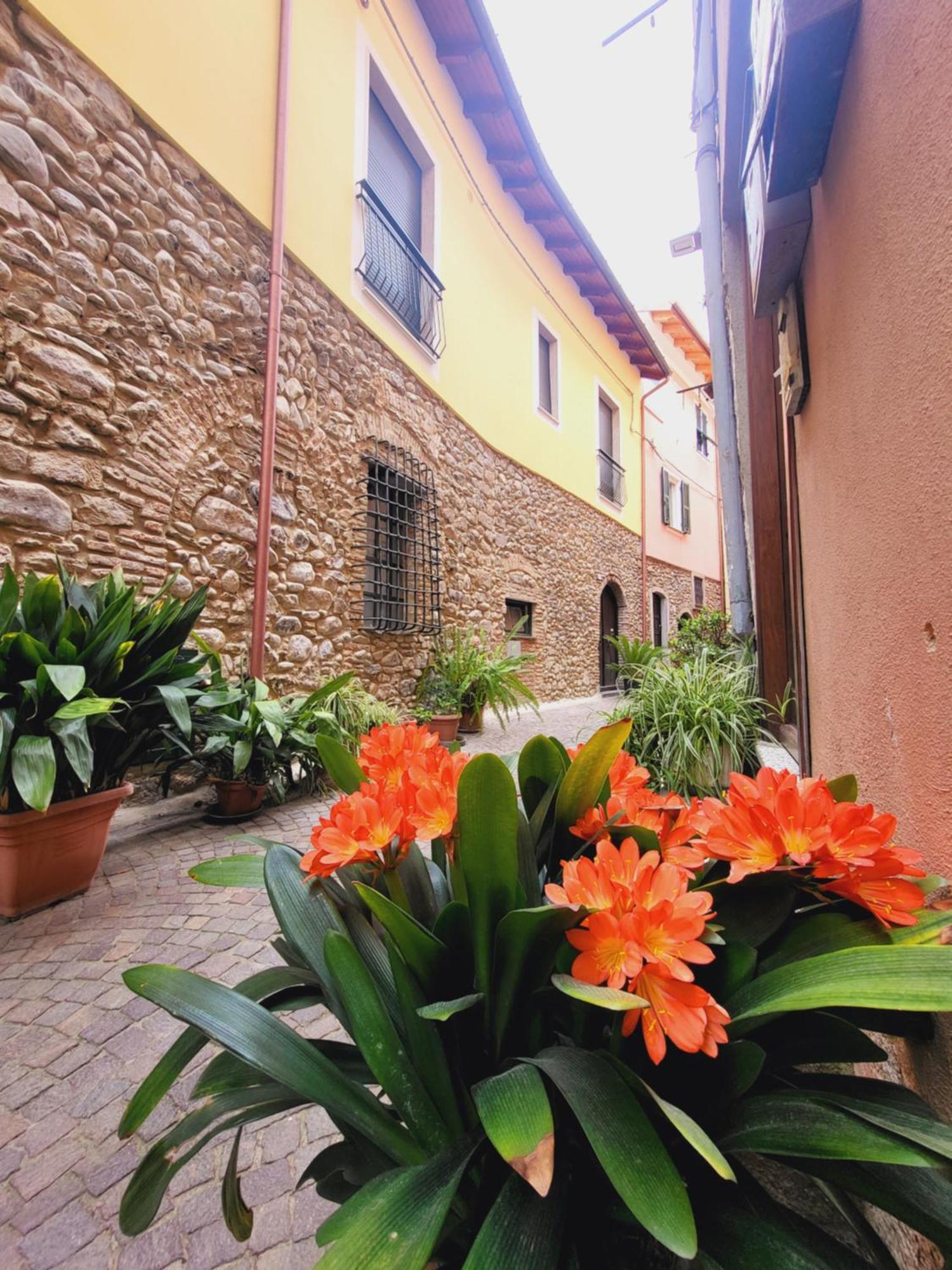 Salvia E Rosmarino - Affittacamere In Liguria فيلانويفا دي ألبينجا المظهر الخارجي الصورة