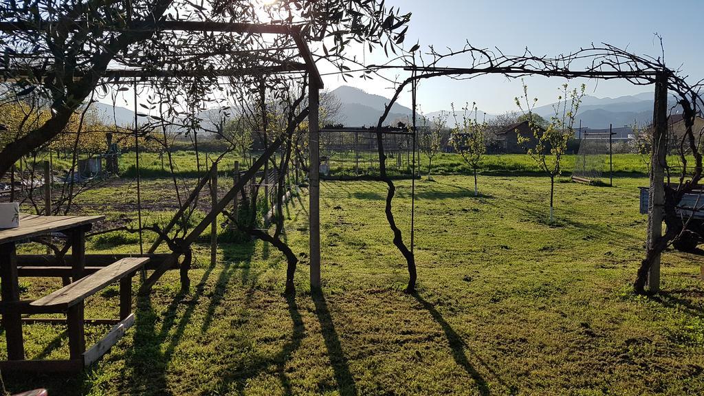 Salvia E Rosmarino - Affittacamere In Liguria فيلانويفا دي ألبينجا المظهر الخارجي الصورة