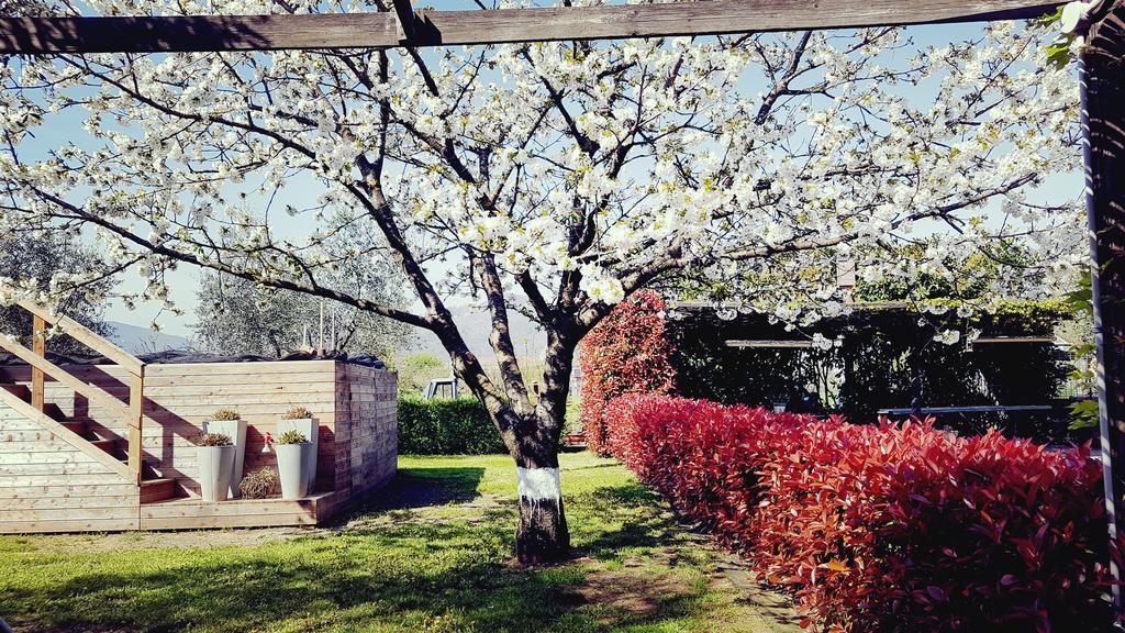 Salvia E Rosmarino - Affittacamere In Liguria فيلانويفا دي ألبينجا المظهر الخارجي الصورة
